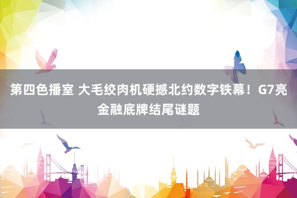 第四色播室 大毛绞肉机硬撼北约数字铁幕！G7亮金融底牌结尾谜题