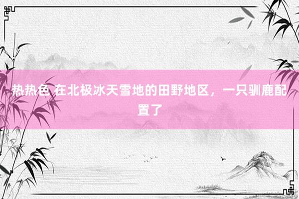 热热色 在北极冰天雪地的田野地区，一只驯鹿配置了