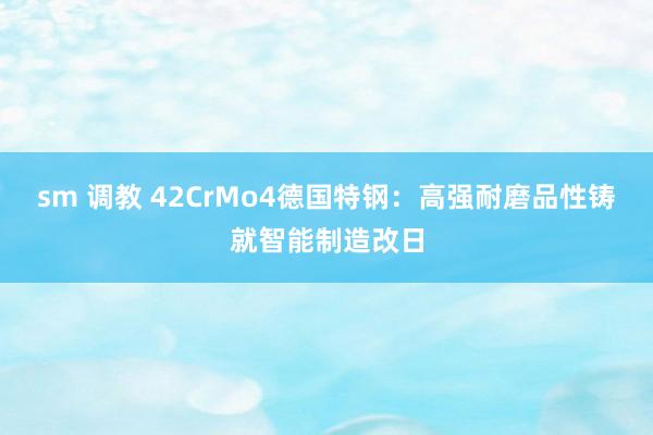 sm 调教 42CrMo4德国特钢：高强耐磨品性铸就智能制造改日