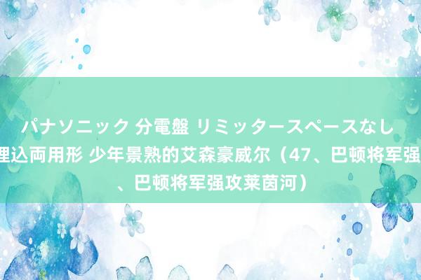 パナソニック 分電盤 リミッタースペースなし 露出・半埋込両用形 少年景熟的艾森豪威尔（47、巴顿将军强攻莱茵河）