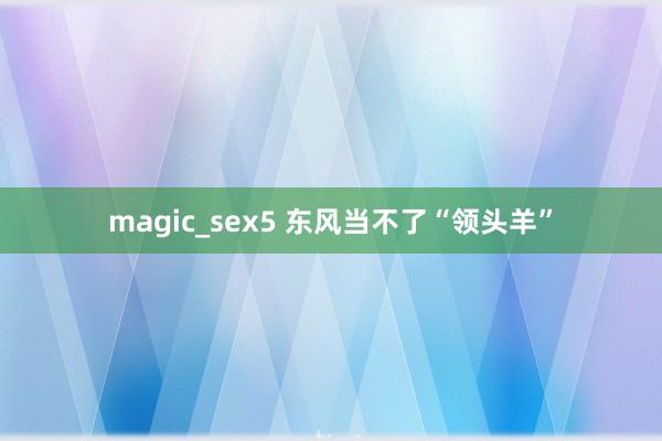 magic_sex5 东风当不了“领头羊”