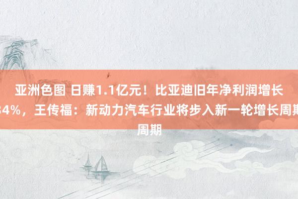 亚洲色图 日赚1.1亿元！比亚迪旧年净利润增长34%，王传福：新动力汽车行业将步入新一轮增长周期